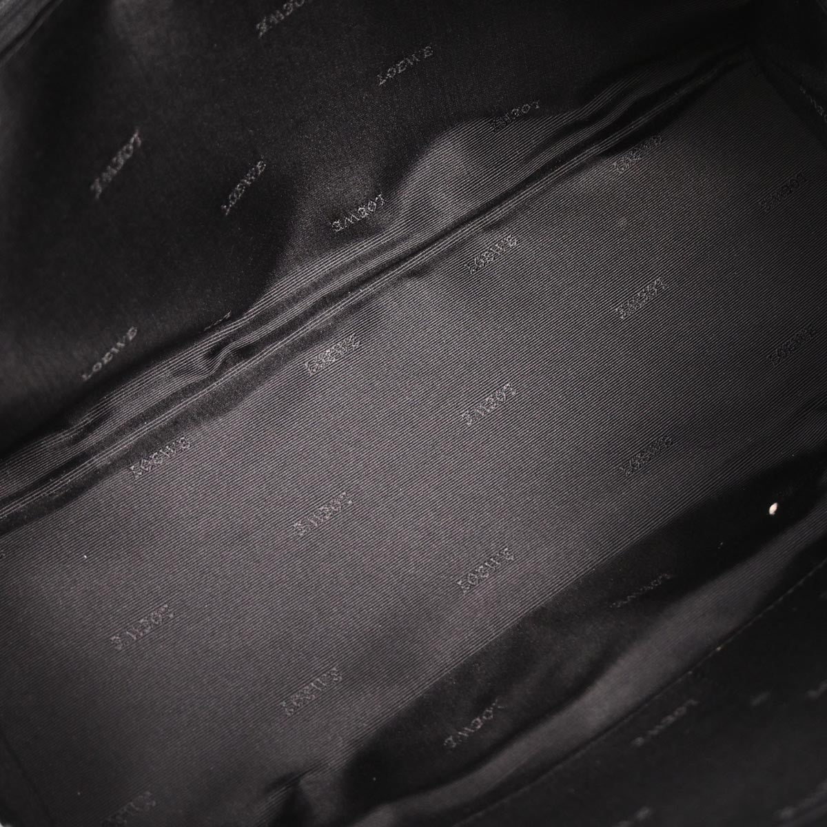 Loewe Amazona Bag - Brandsamsara