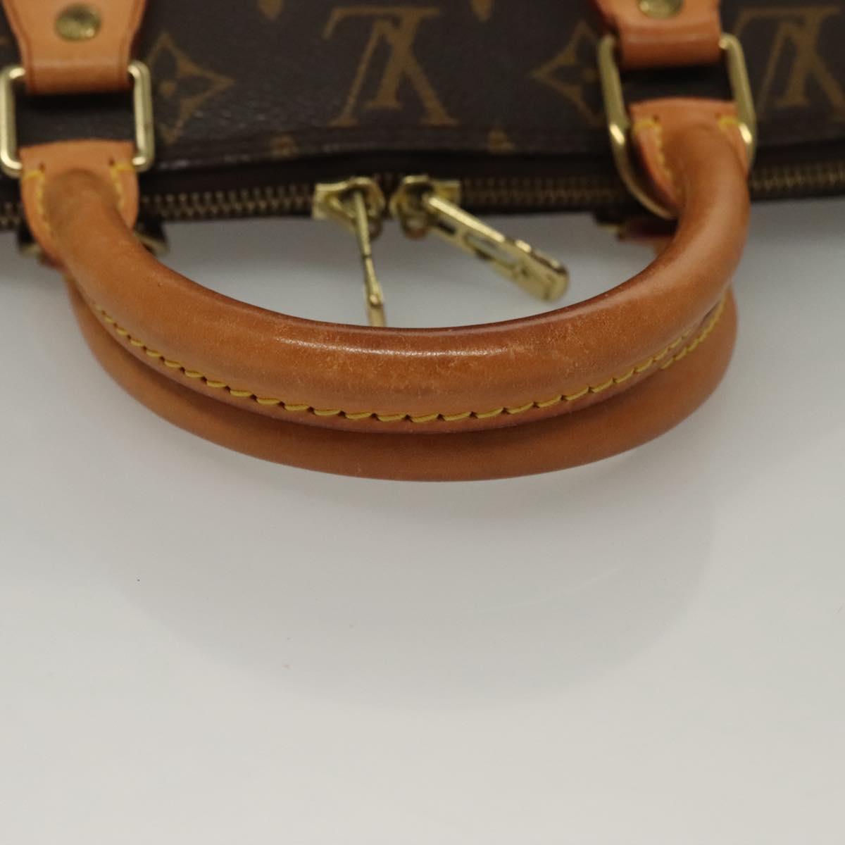Louis Vuitton Alma - Brandsamsara