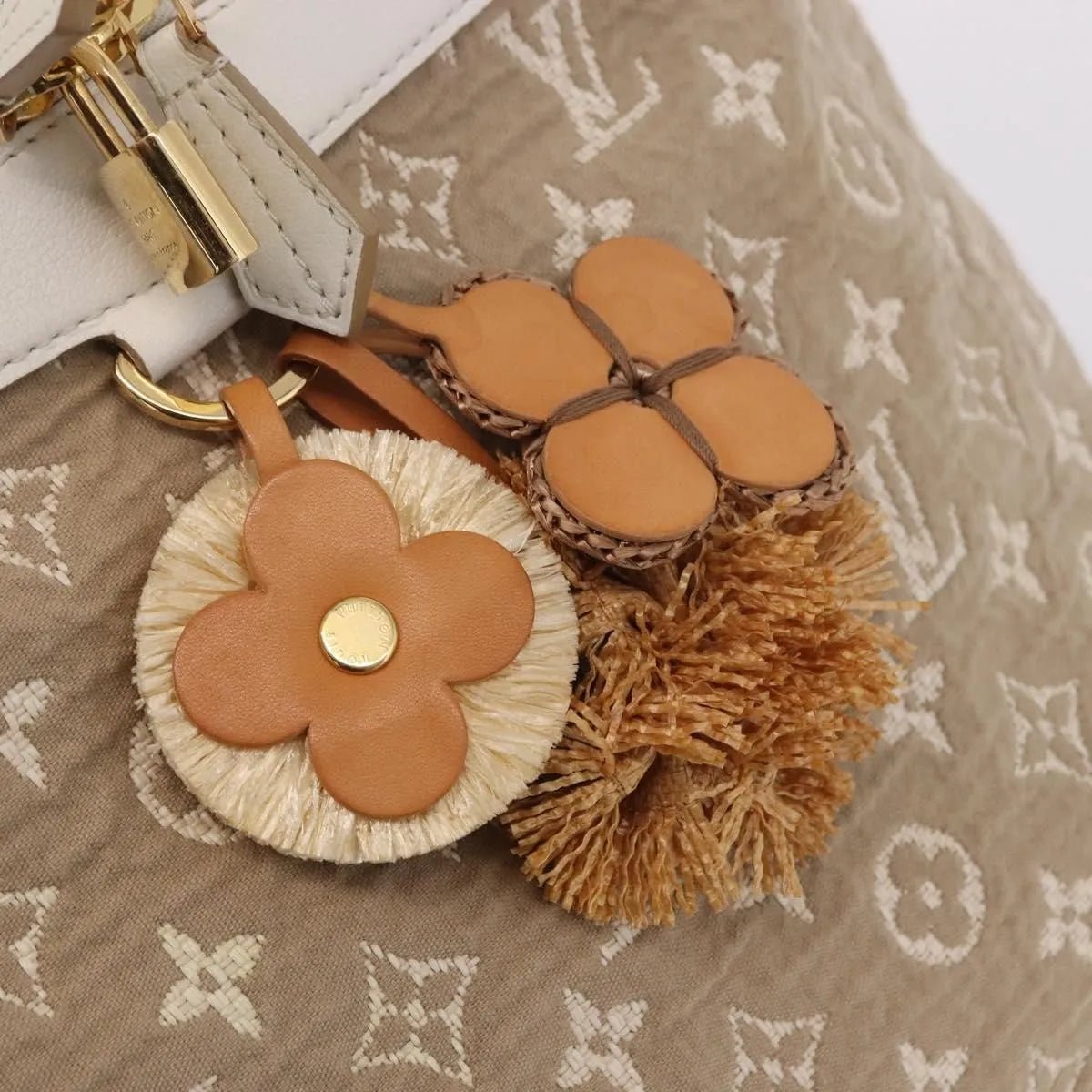 Louis Vuitton Besace Handbag - Brandsamsara