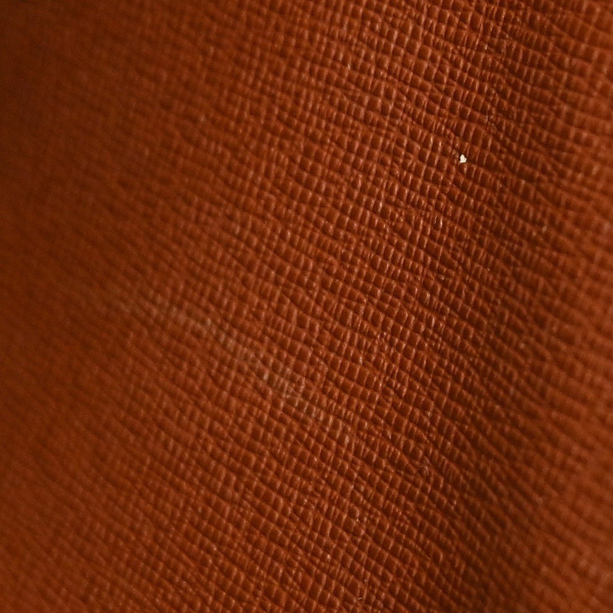 Louis Vuitton Boulogne - Brandsamsara