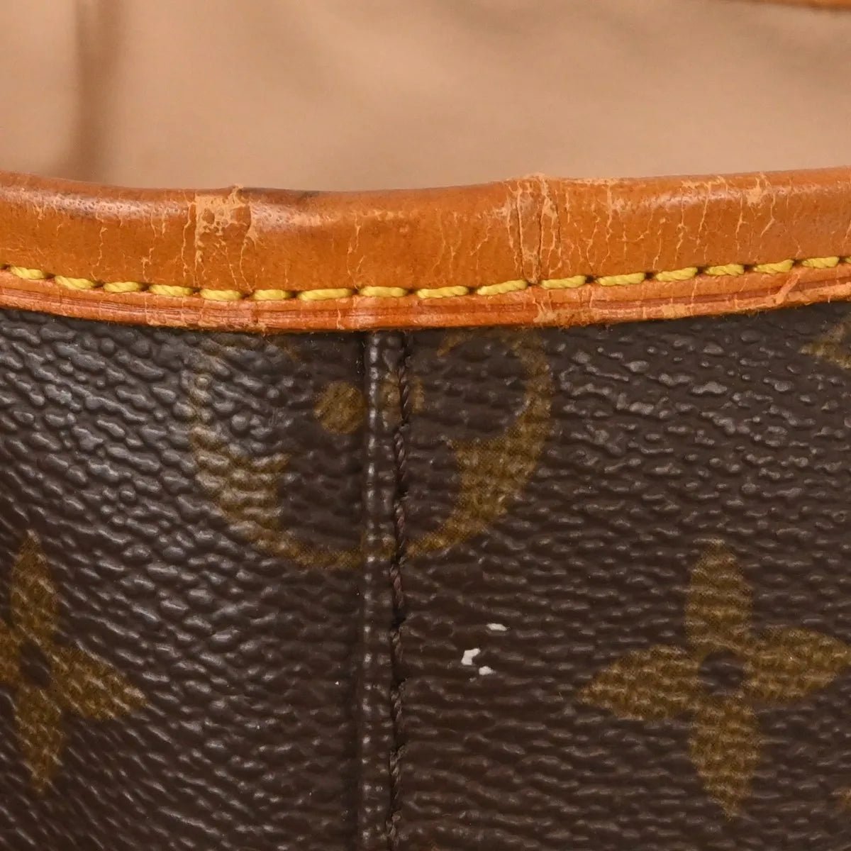 Louis Vuitton Bucket - Brandsamsara