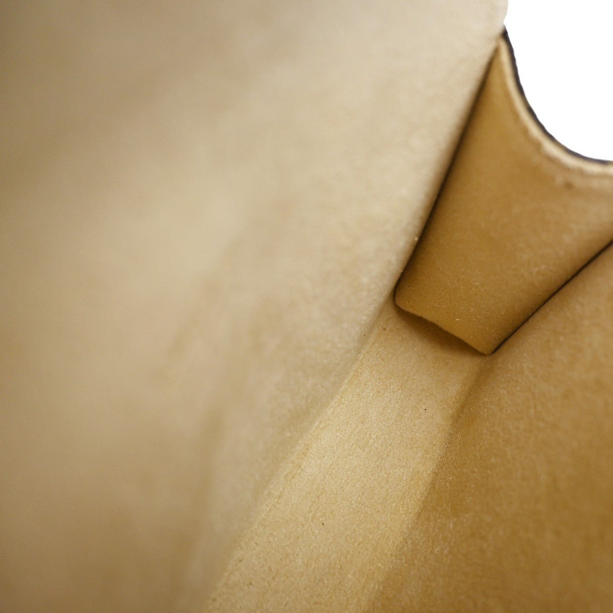 Louis Vuitton Florentine Waist Bag - Brandsamsara