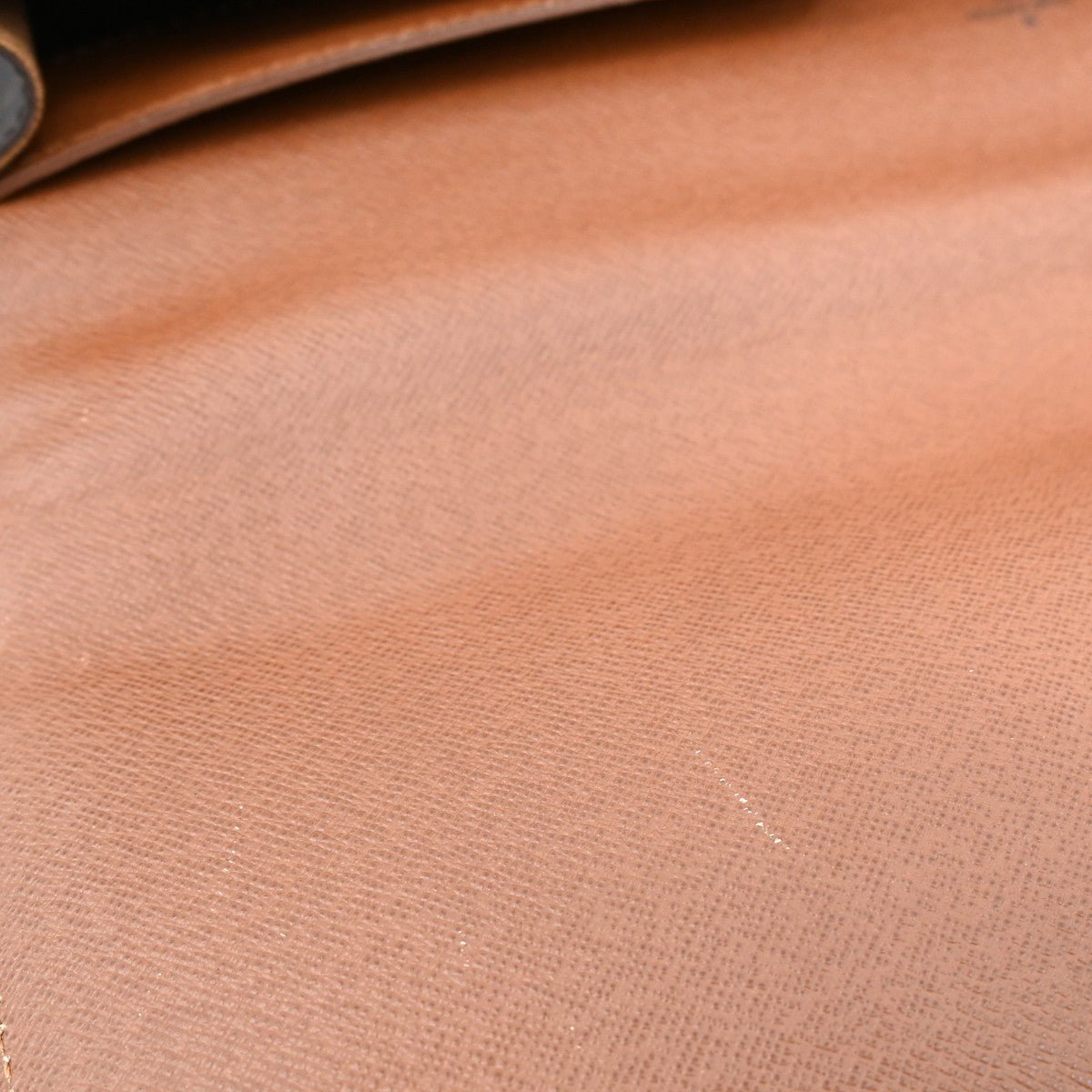 Louis Vuitton Laguito Handbag - Brandsamsara