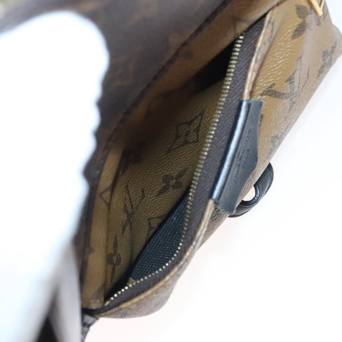 Louis Vuitton Palm Springs Backpack - Brandsamsara