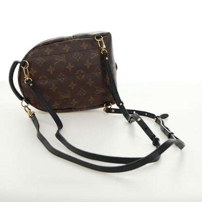 Louis Vuitton Palm Springs Backpack - Brandsamsara