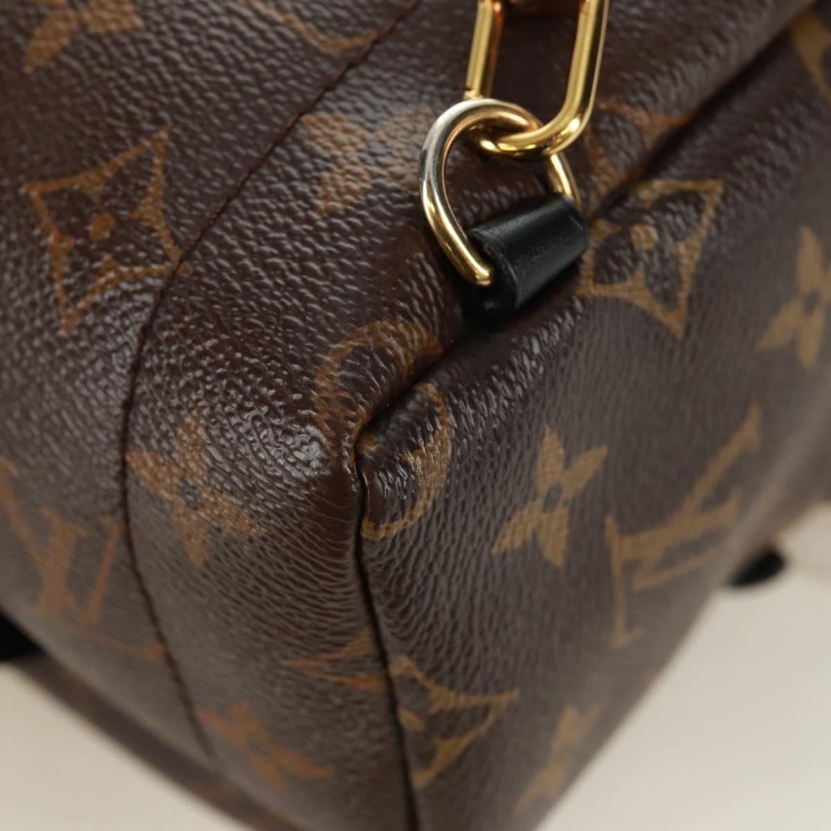 Louis Vuitton Palm Springs Backpack - Brandsamsara