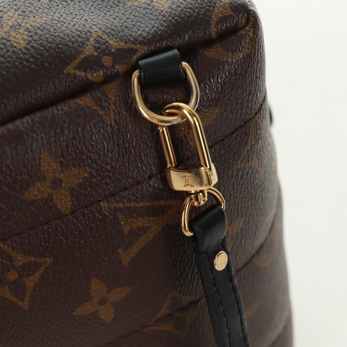 Louis Vuitton Palm Springs Backpack - Brandsamsara