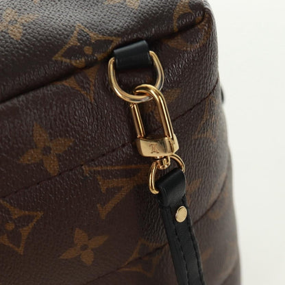 Louis Vuitton Palm Springs Backpack - Brandsamsara