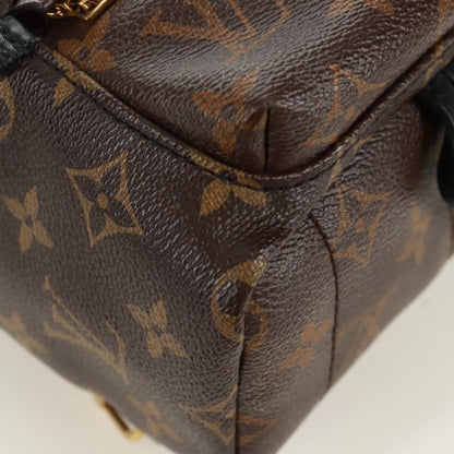 Louis Vuitton Palm Springs Backpack - Brandsamsara