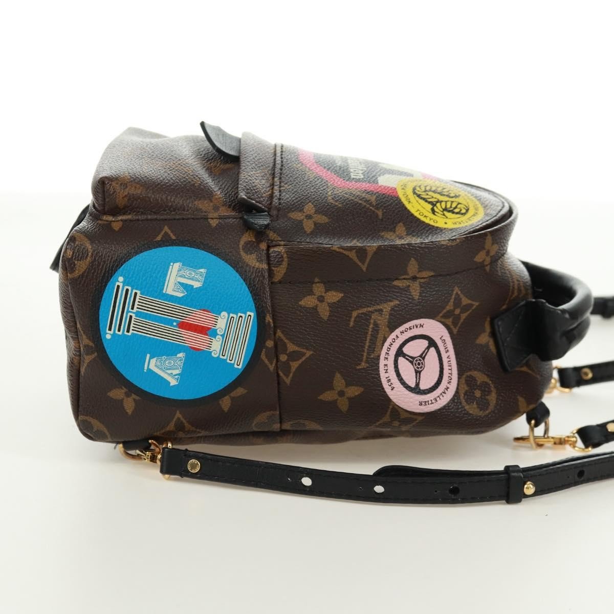 Louis Vuitton Palm Springs Backpack - Brandsamsara
