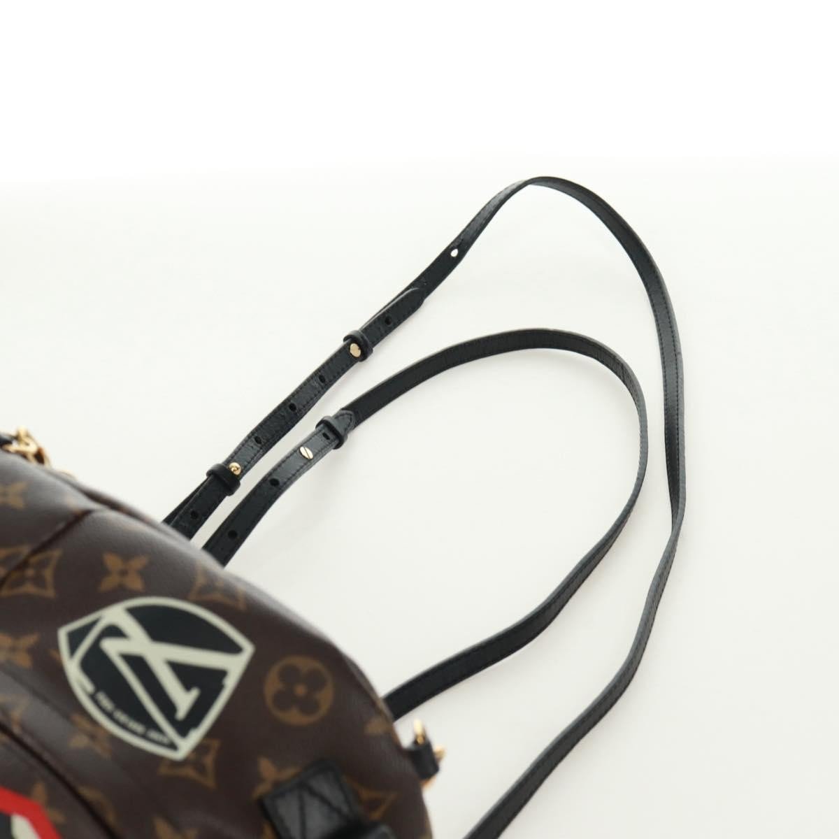 Louis Vuitton Palm Springs Backpack - Brandsamsara