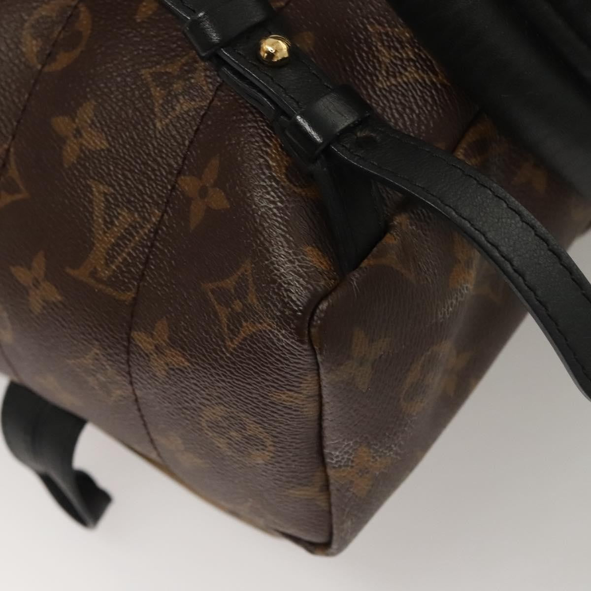 Louis Vuitton Palm Springs Backpack - Brandsamsara