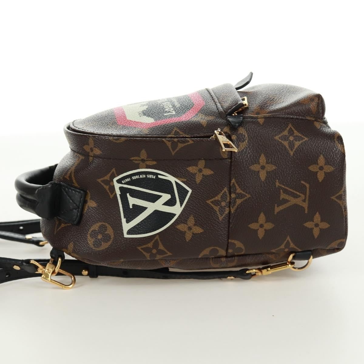 Louis Vuitton Palm Springs Backpack - Brandsamsara
