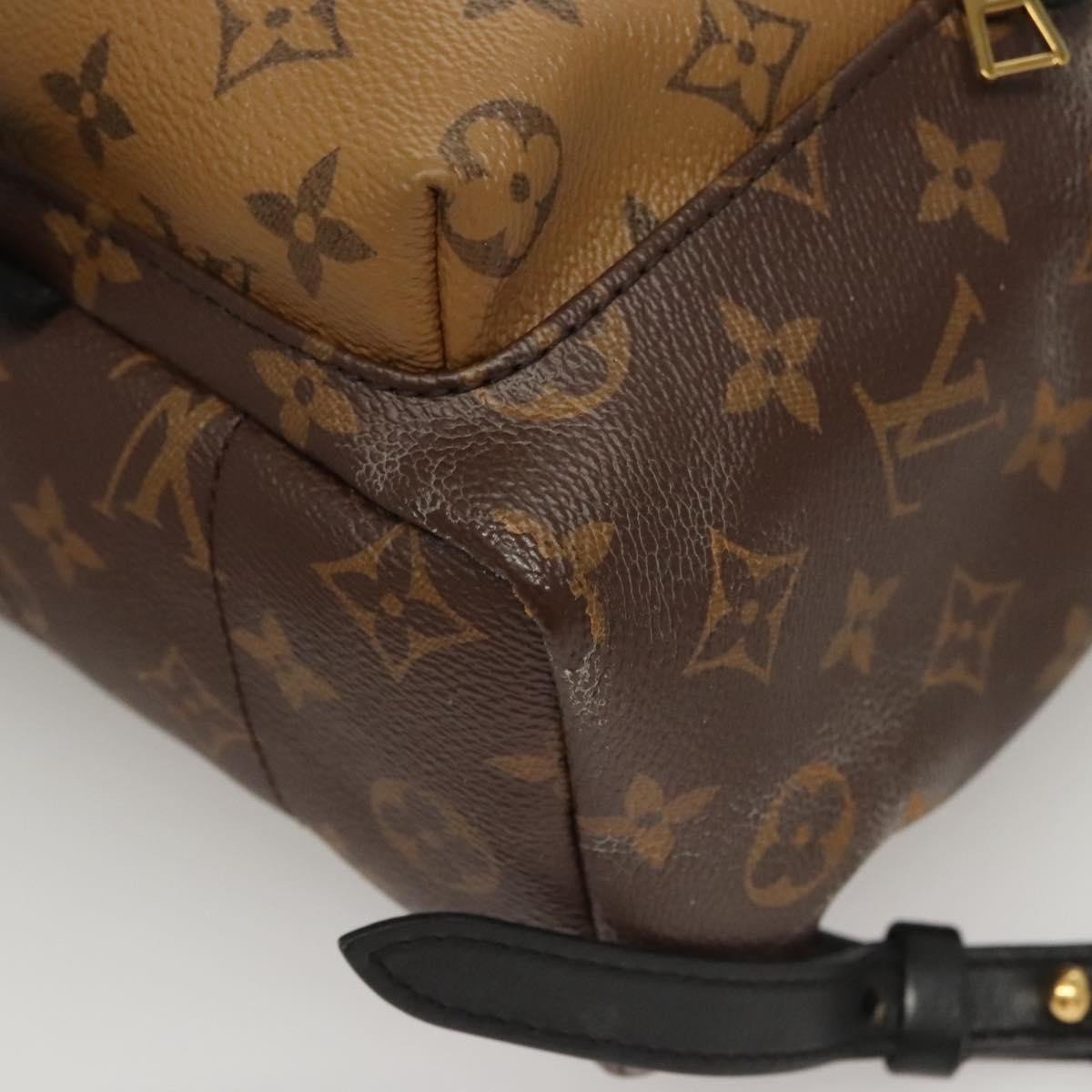 Louis Vuitton Palm Springs Backpack - Brandsamsara