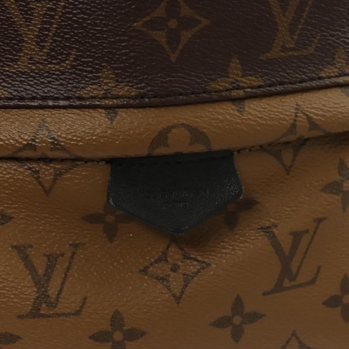 Louis Vuitton Palm Springs Backpack - Brandsamsara