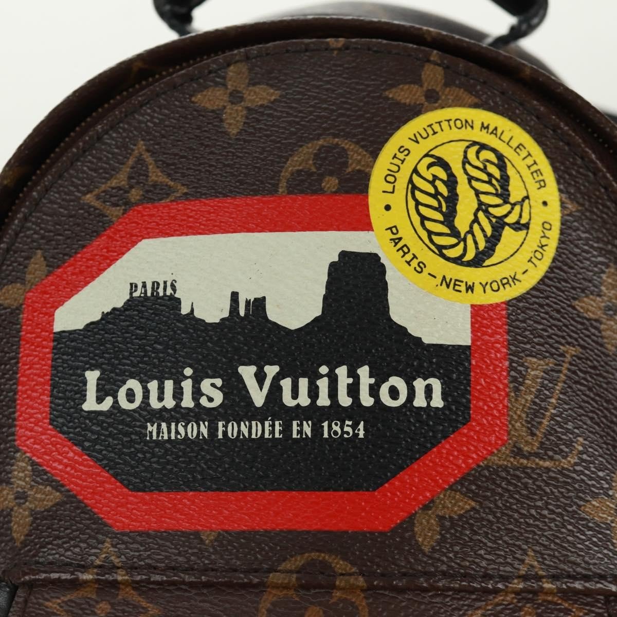 Louis Vuitton Palm Springs Backpack - Brandsamsara