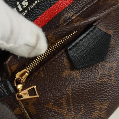 Louis Vuitton Palm Springs Backpack - Brandsamsara