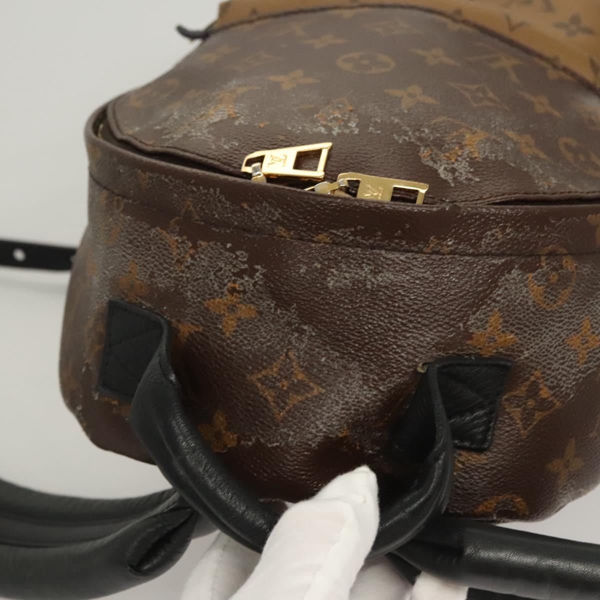 Louis Vuitton Palm Springs Backpack - Brandsamsara