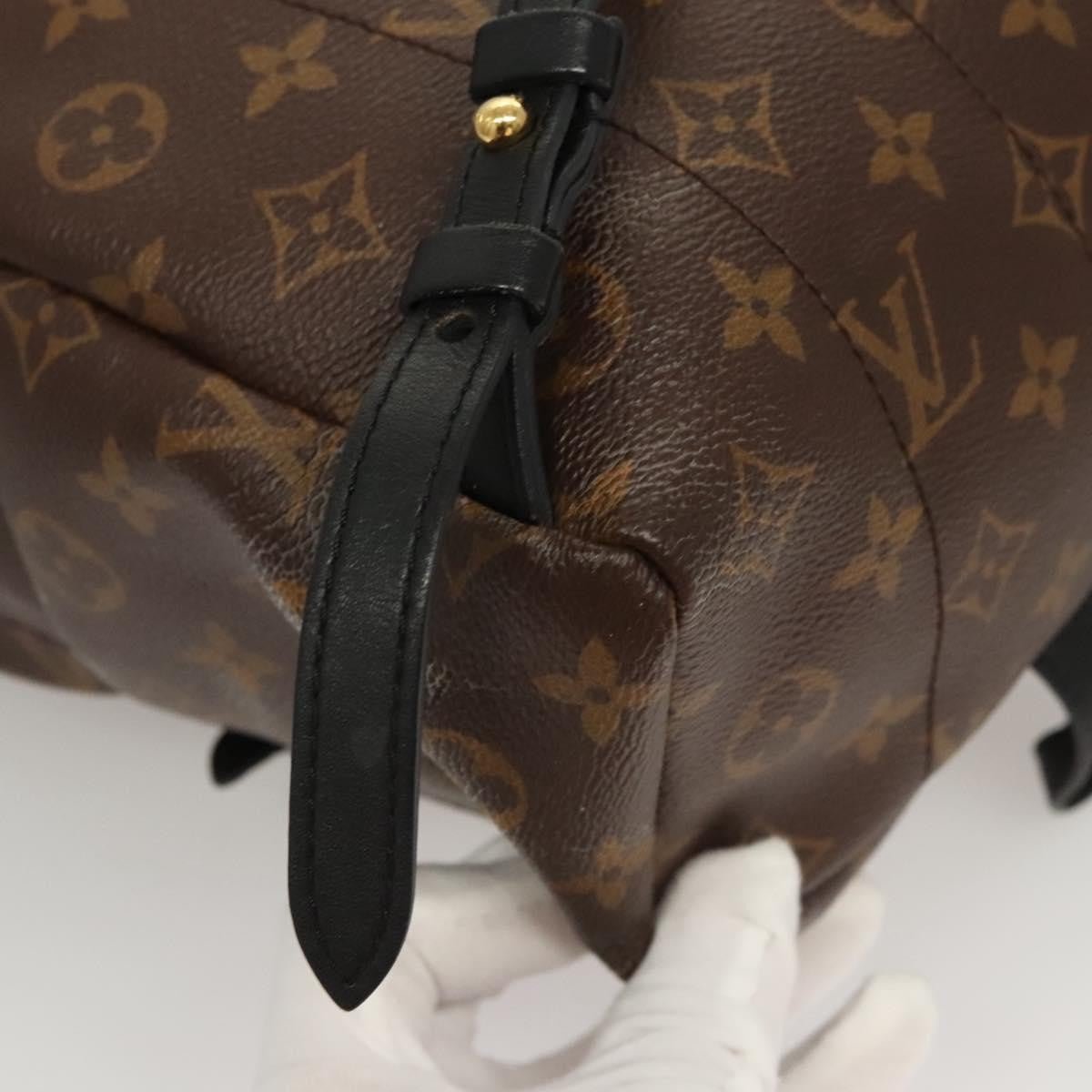 Louis Vuitton Palm Springs Backpack - Brandsamsara