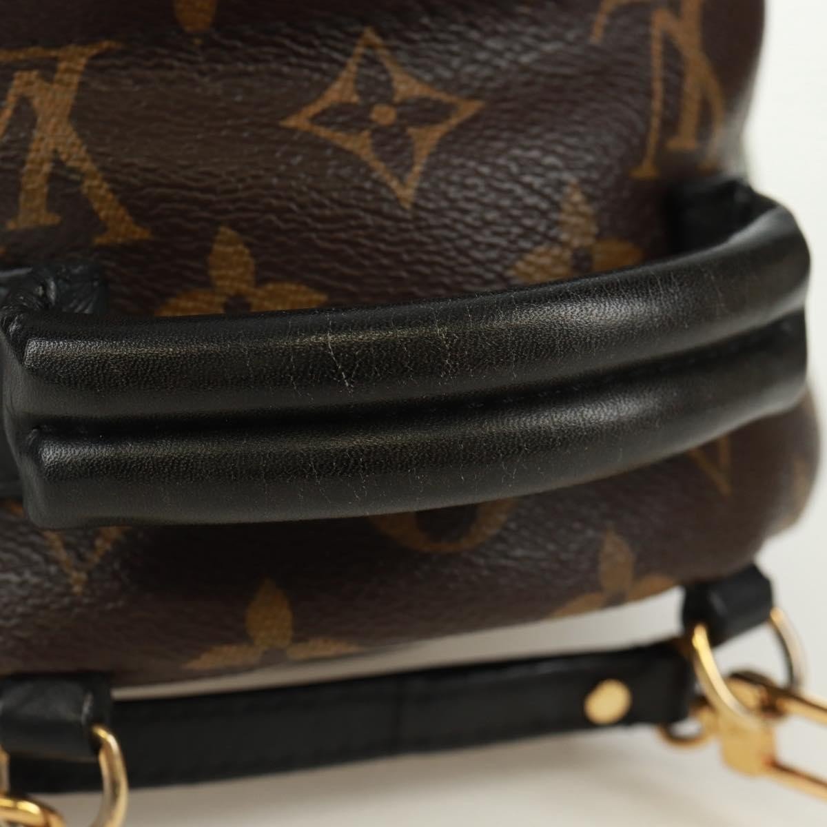 Louis Vuitton Palm Springs Backpack - Brandsamsara
