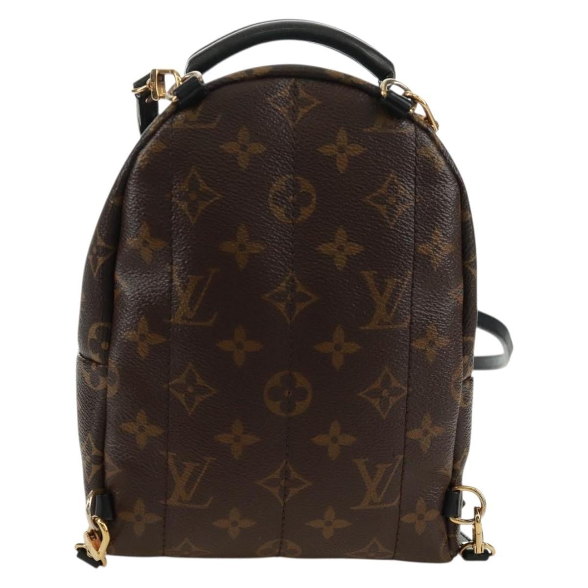 Louis Vuitton Palm Springs Backpack - Brandsamsara
