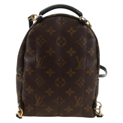 Louis Vuitton Palm Springs Backpack - Brandsamsara