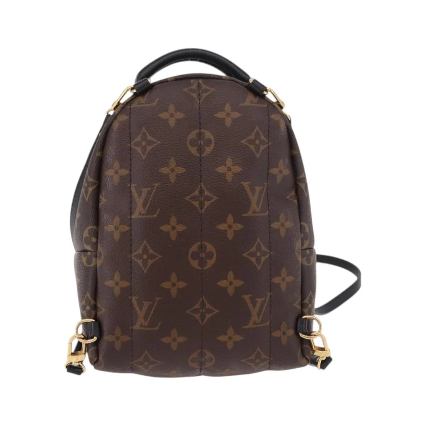 Louis Vuitton Palm Springs Limited, Brown, Canvas, Backpack