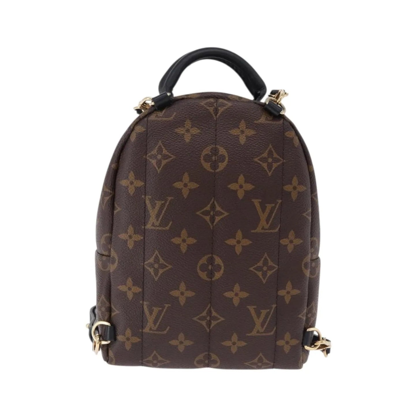 Louis Vuitton Palm Springs Monogram, Brown, Canvas, Backpack