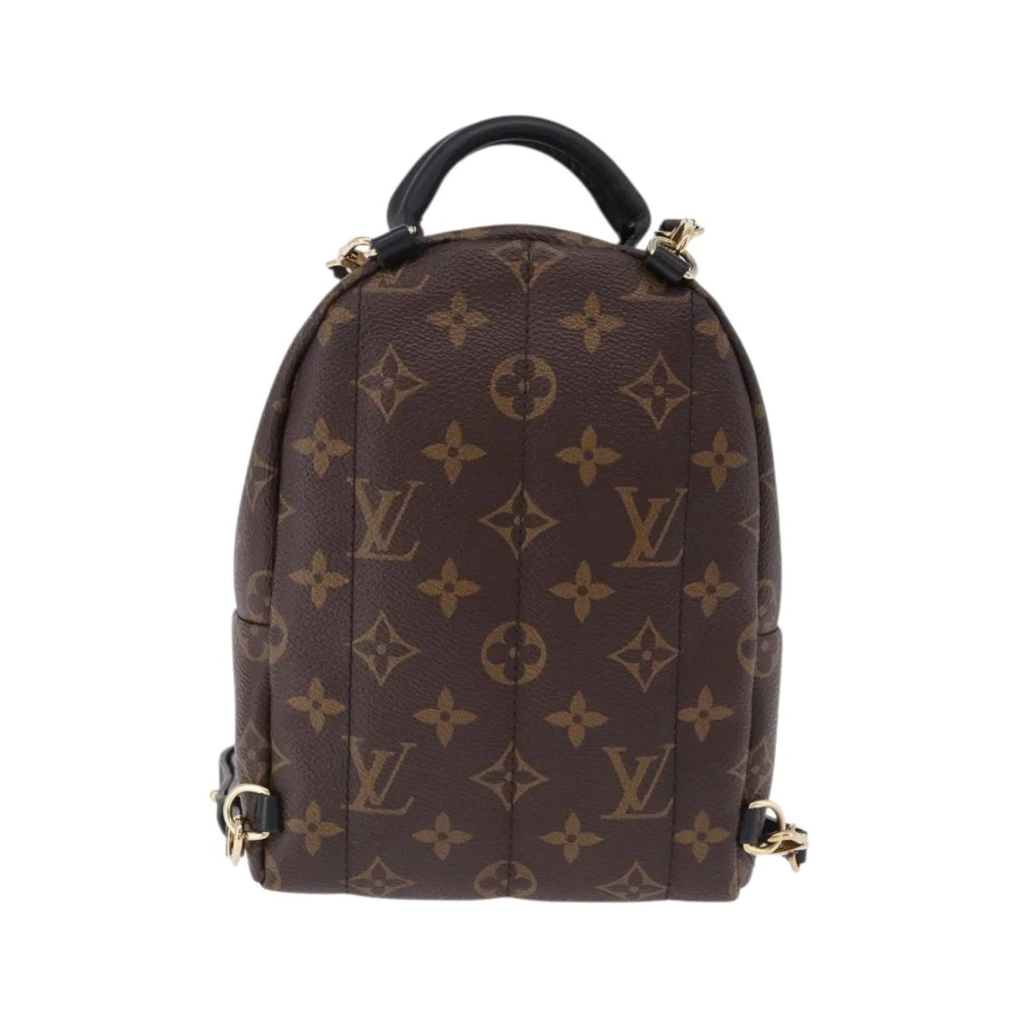Louis Vuitton Palm Springs Monogram, Brown, Canvas, Backpack