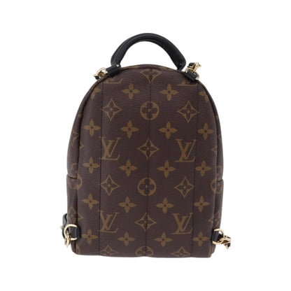 Louis Vuitton Palm Springs Monogram, Brown, Canvas, Backpack
