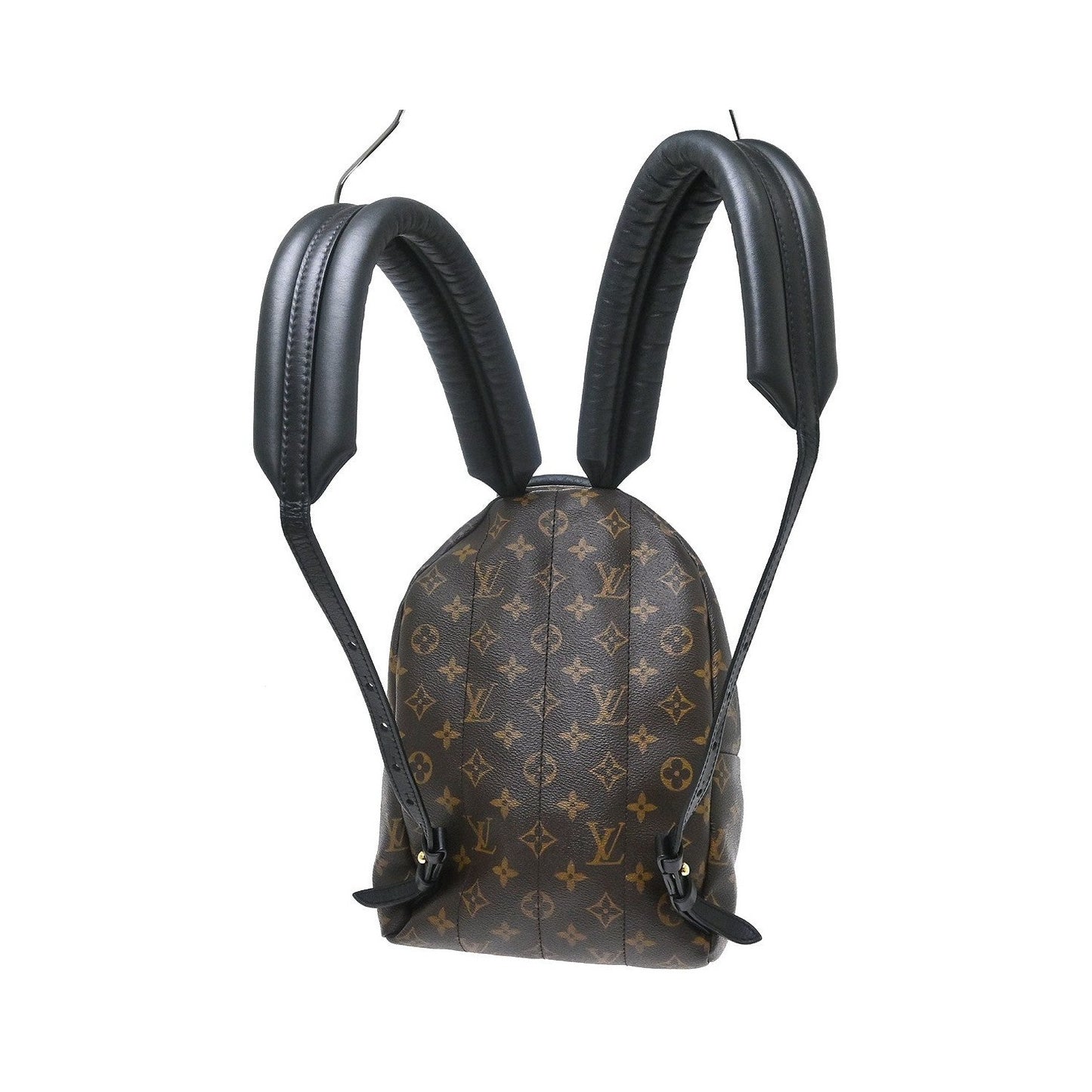 Louis Vuitton Palm Springs Monogram, Brown, Canvas, Backpack