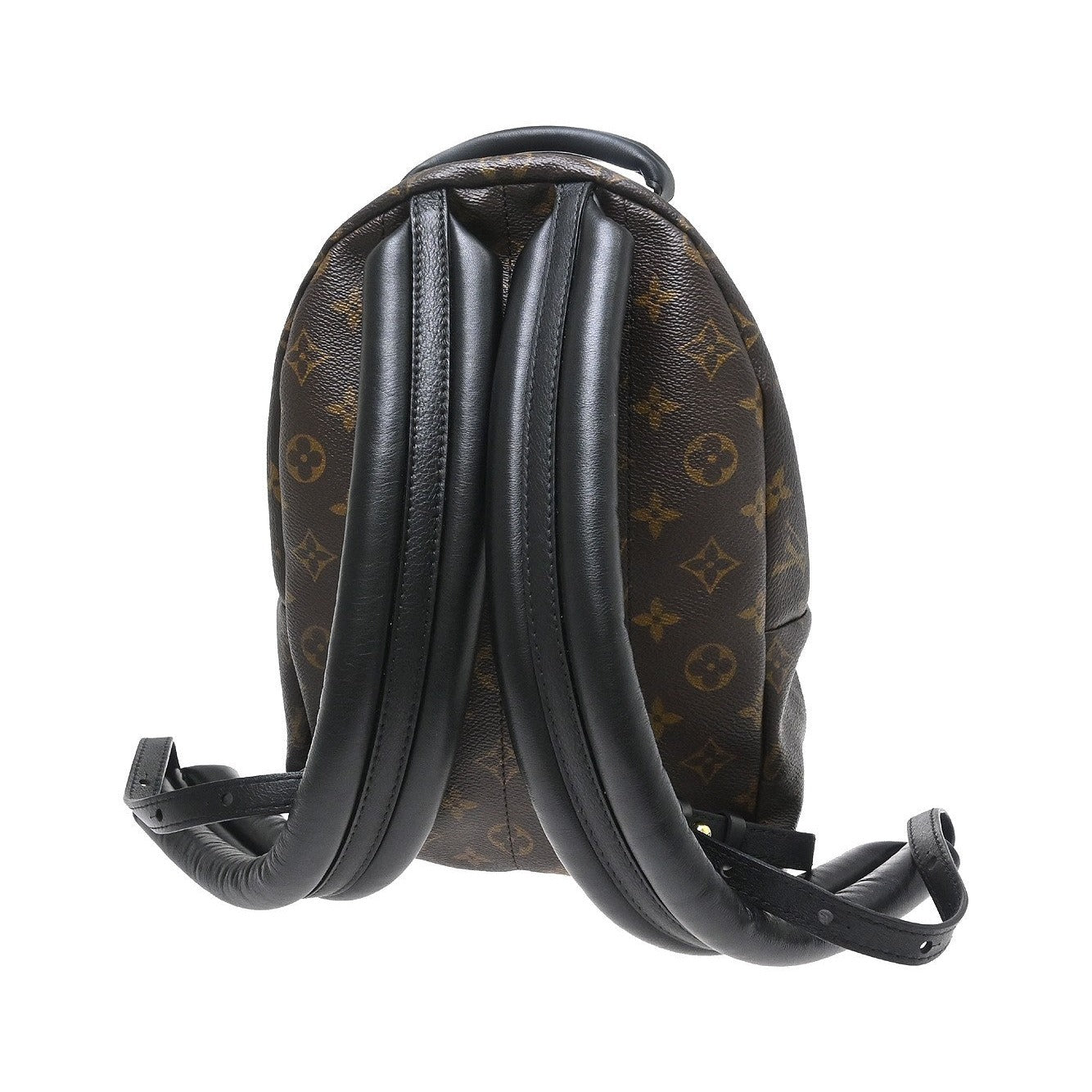 Louis Vuitton Palm Springs Monogram, Brown, Canvas, Backpack