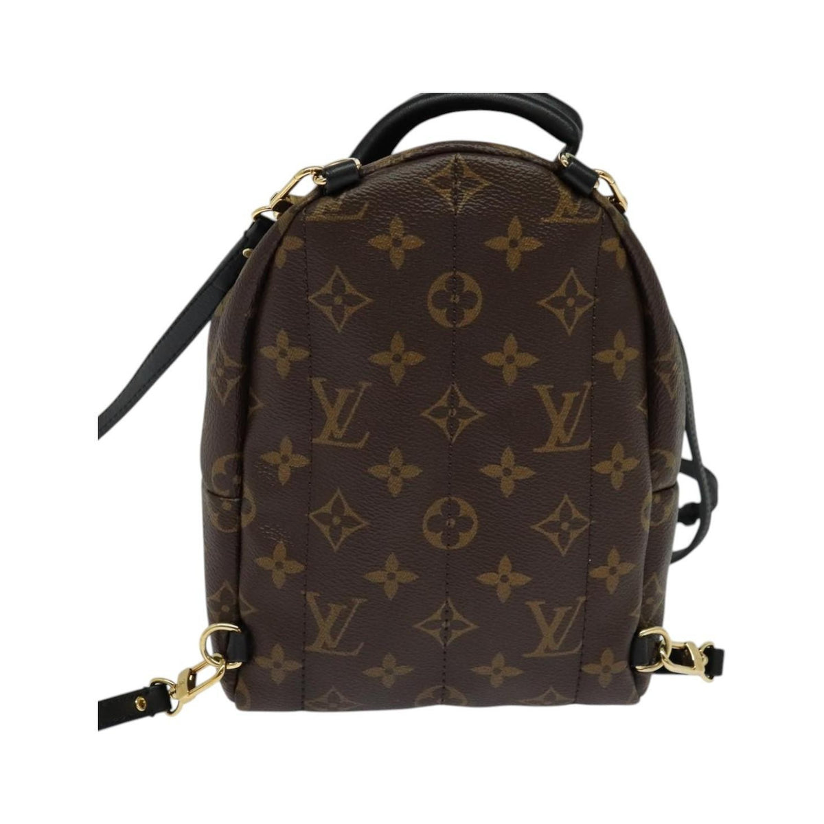 Louis Vuitton Palm Springs Monogram Canvas, Brown, Canvas, Backpack