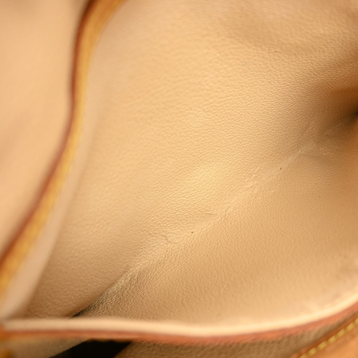 Louis Vuitton Petit Bucket Bag - Brandsamsara