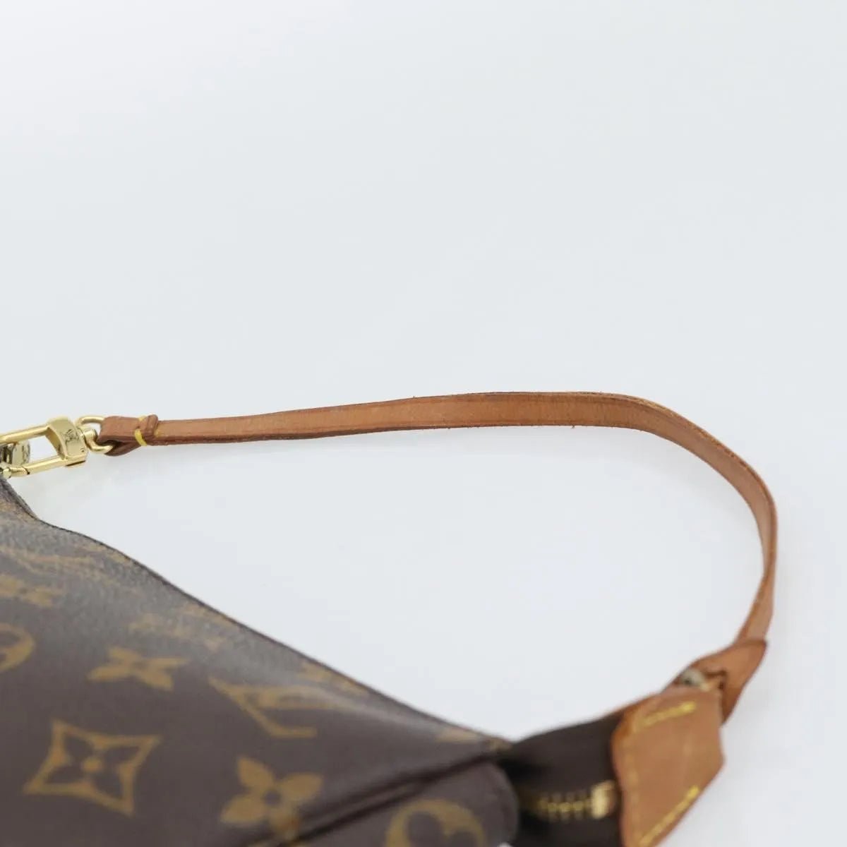 Louis Vuitton Pochette Accessoires - Brandsamsara