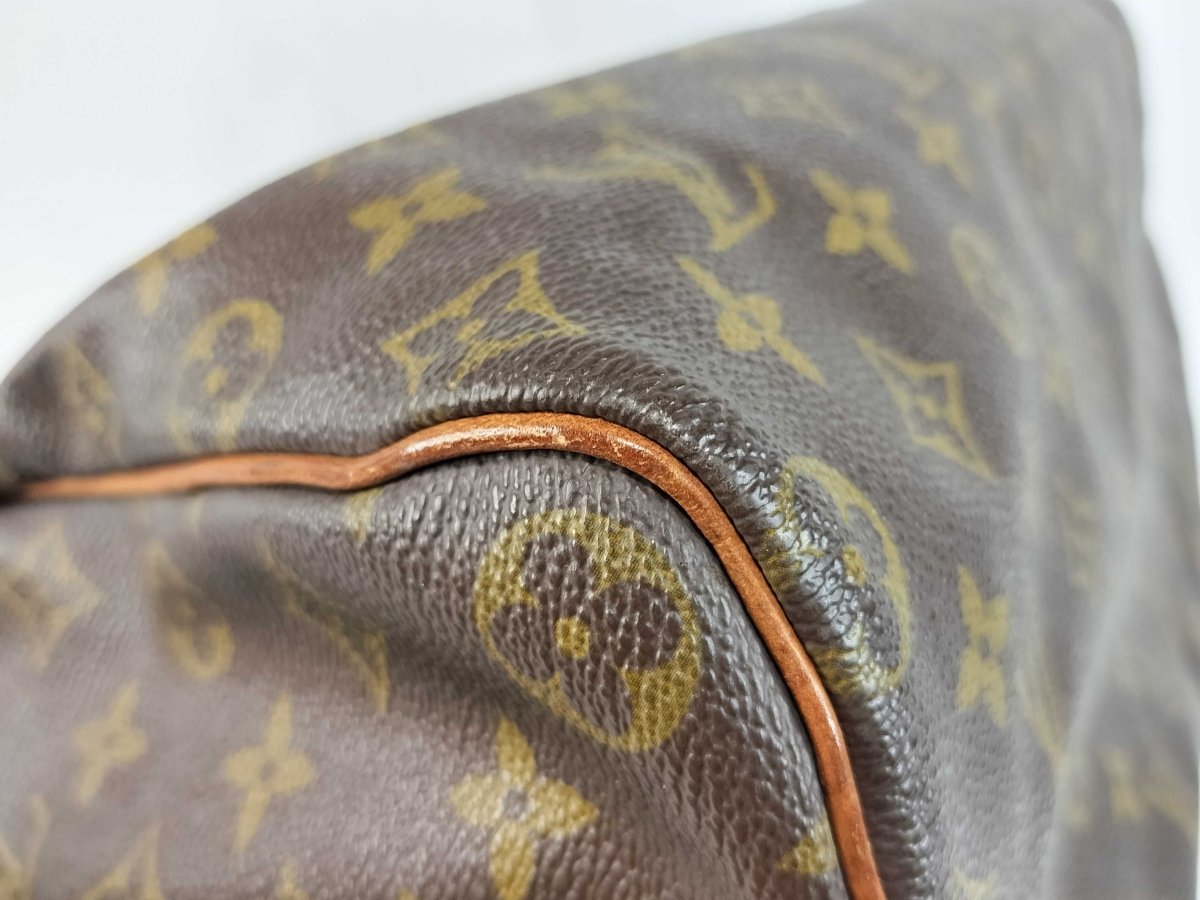 Louis Vuitton Speedy - Brandsamsara