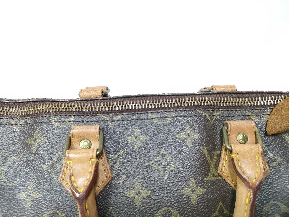 Louis Vuitton Speedy - Brandsamsara