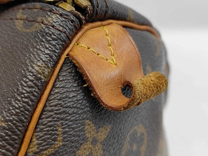 Louis Vuitton Speedy - Brandsamsara