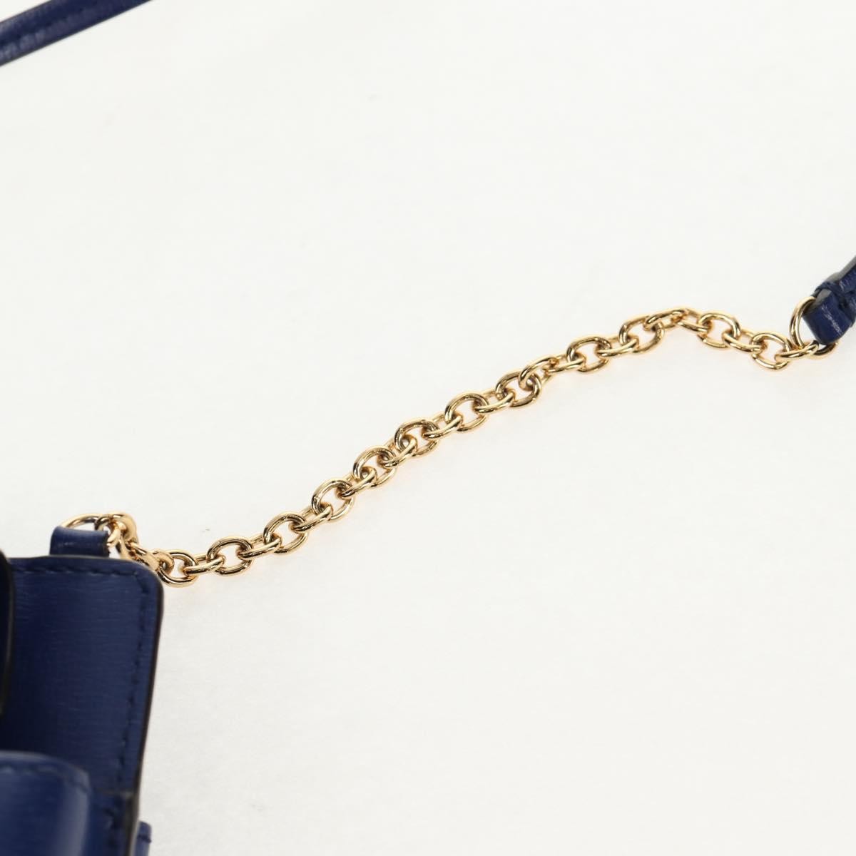 Salvatore Ferragamo Vintage Vara Crossbody Bag Nylon, BLUE, LEATHER, Clutche & pouche