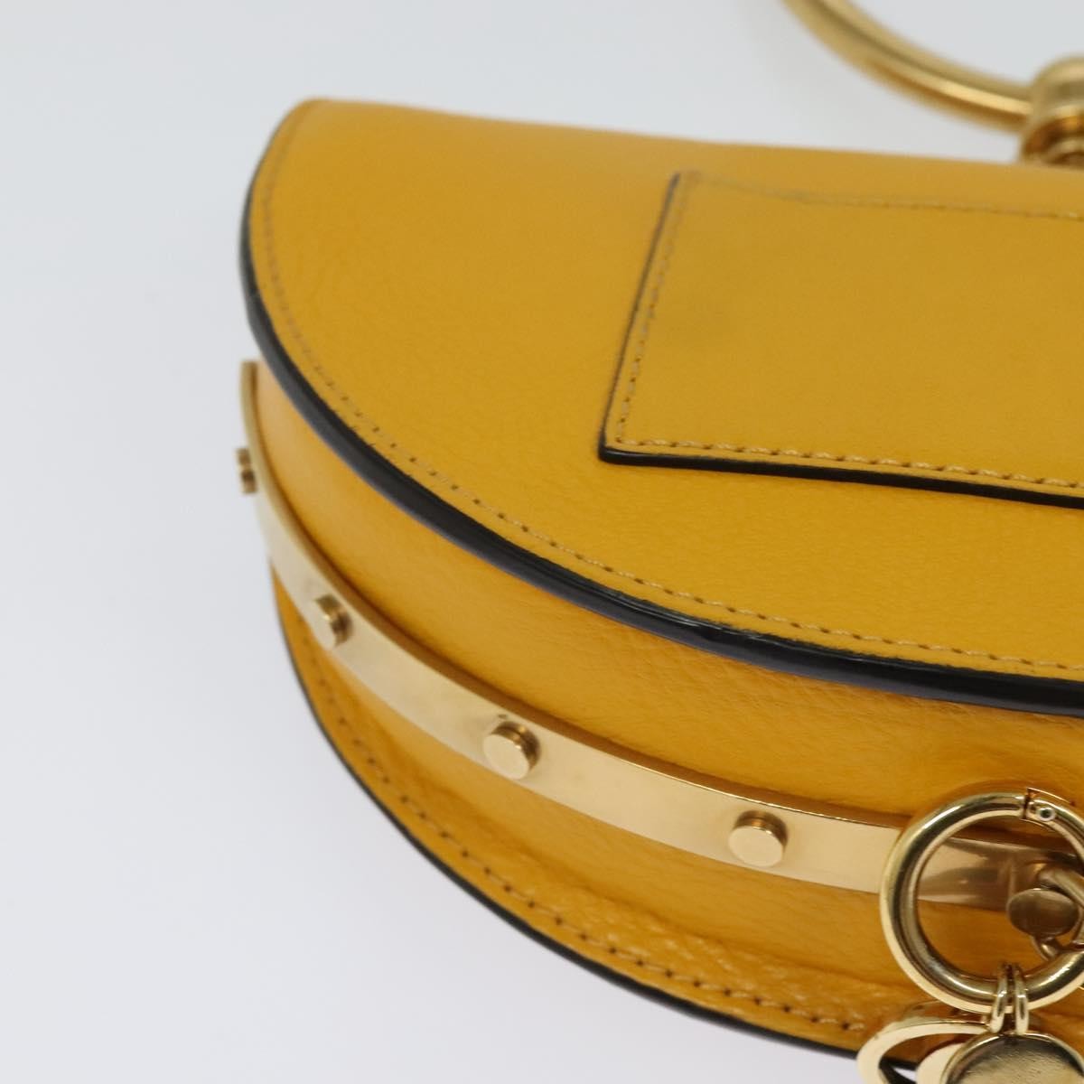 Chloe Nile Minaudière Leather, GOLD, LEATHER, Handbag