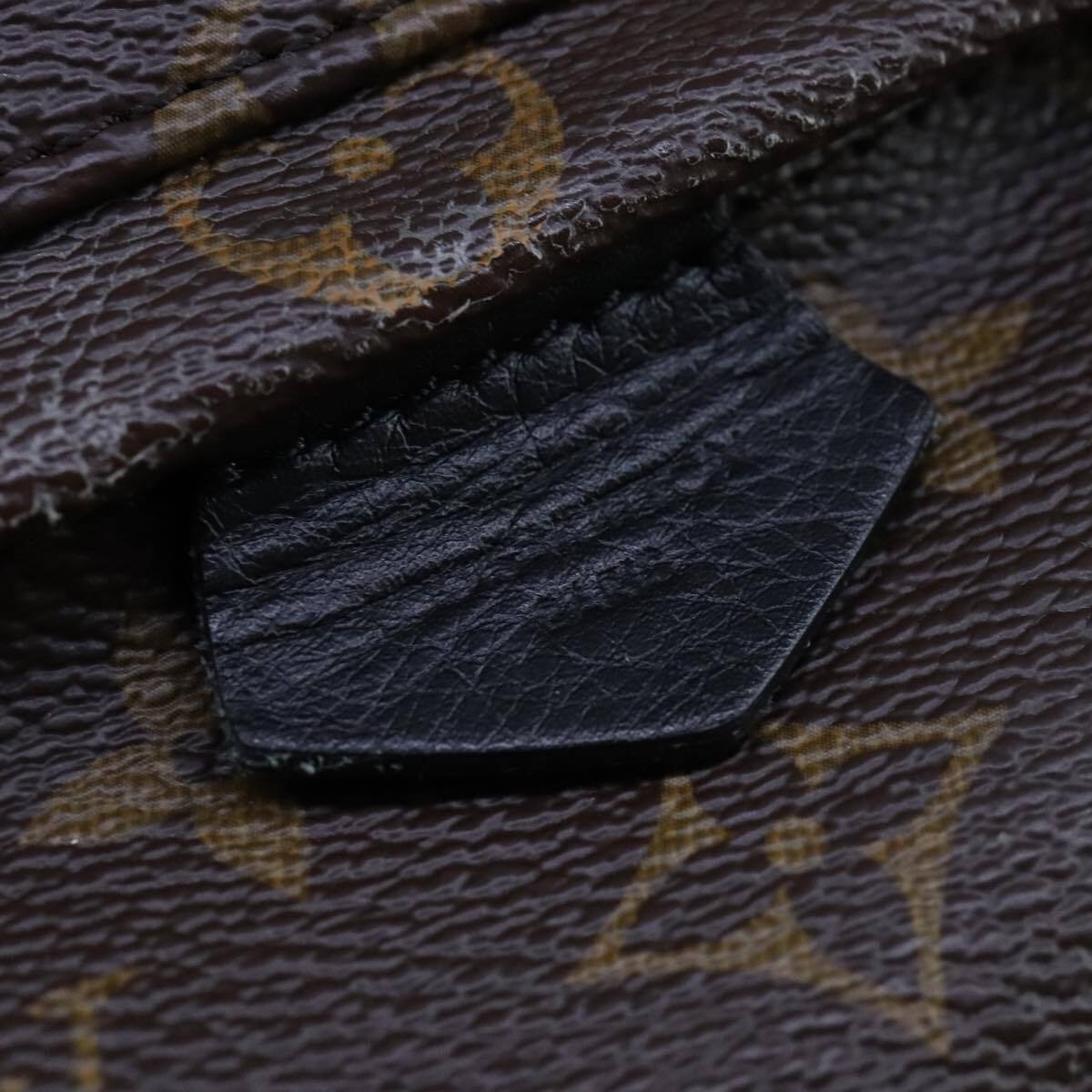 Louis Vuitton Palm Springs Backpack Monogram Canvas, BROWN, CANVAS, Backpack