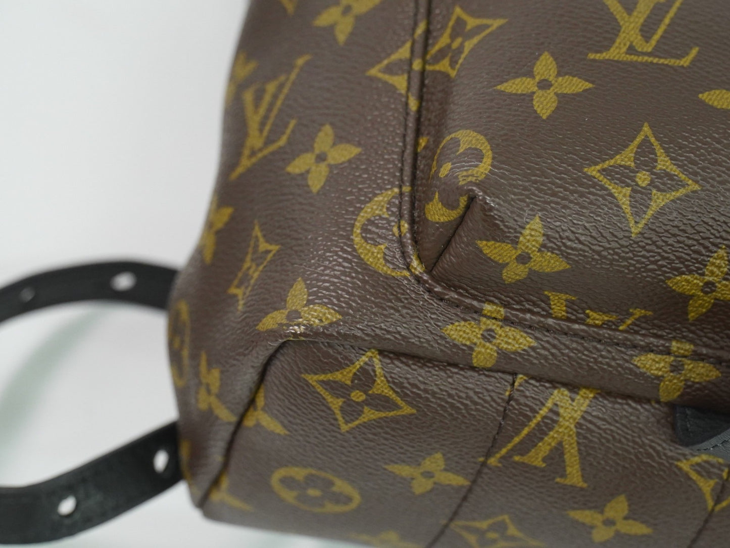 Louis Vuitton Palm Springs Backpack Monogram Canvas, BROWN, CANVAS, Backpack