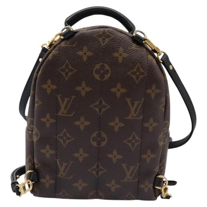 Louis Vuitton Palm Springs Backpack Monogram Canvas, BROWN, CANVAS, Backpack