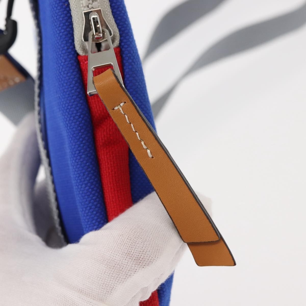 Loewe Eye/Loewe/Nature Zip Neck Pouch Canvas with Applique, BLUE, CANVAS, Clutche & pouche