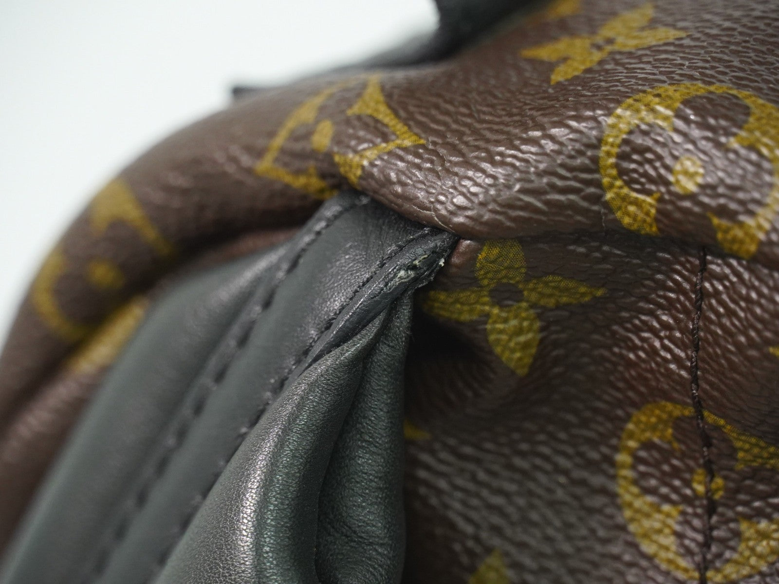 Louis Vuitton Palm Springs Backpack Monogram Canvas, BROWN, CANVAS, Backpack