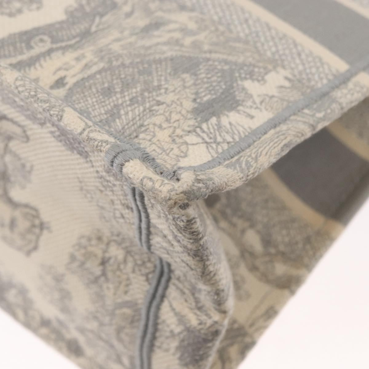 Christian Dior Book Tote Embroidered Canvas, GRAY, CANVAS, Tote bag