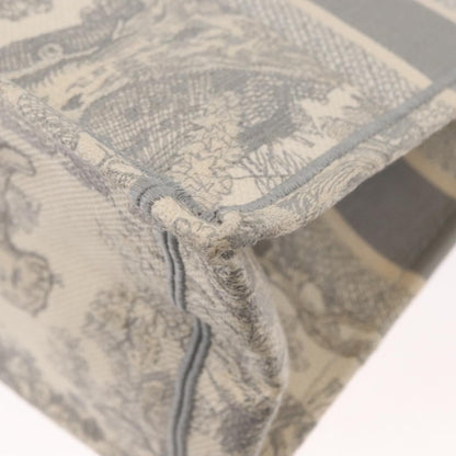 Christian Dior Book Tote Embroidered Canvas, GRAY, CANVAS, Tote bag