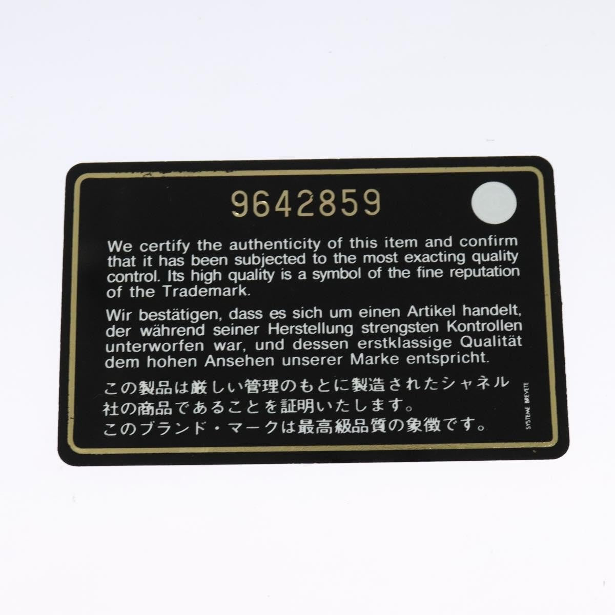 Chanel Vintage Clover Camera Bag Printed Canvas, BLACK, CANVAS, Crossbody bag