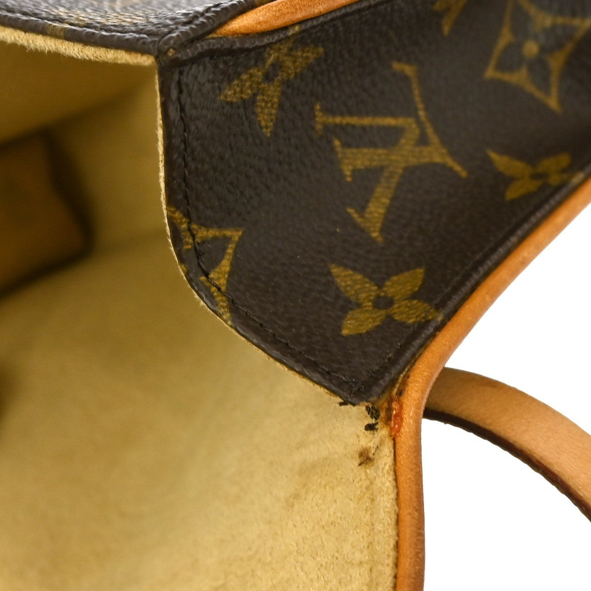 Louis Vuitton Florentine Waist Bag Monogram Canvas, BROWN, CANVAS, Clutche & pouche