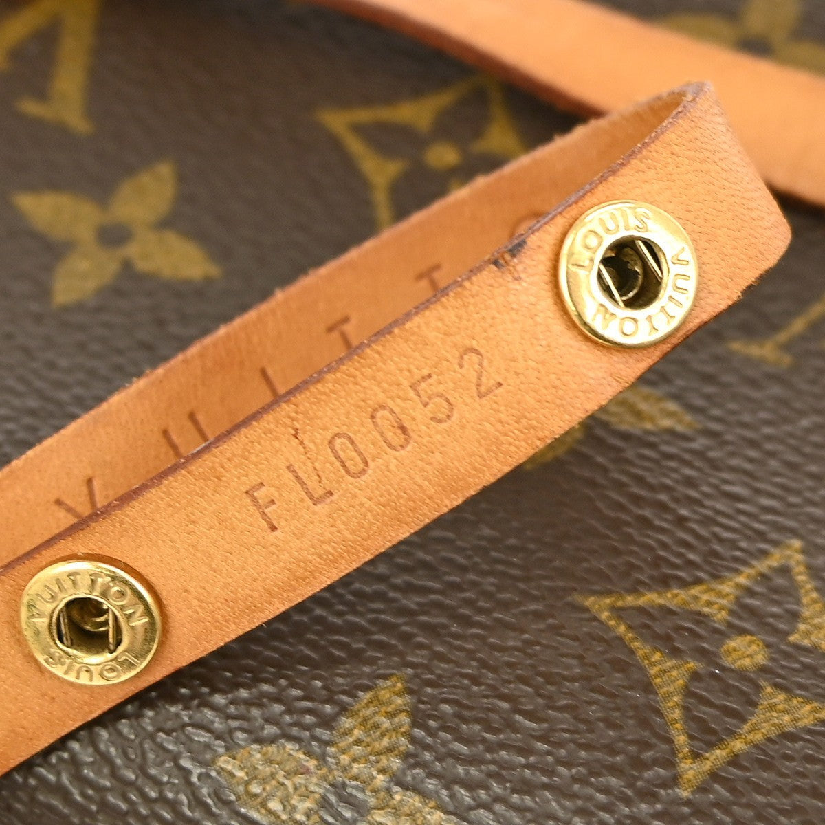 Louis Vuitton Florentine Waist Bag Monogram Canvas, BROWN, CANVAS, Clutche & pouche